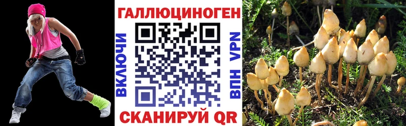 Псилоцибиновые грибы Psilocybine cubensis  Джанкой 